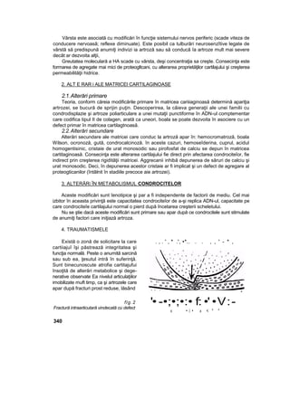 Vârsta este asociată cu modificări în funcţie sistemului nervos periferic (scade viteza de
conducere nervoasă; reflexe diminuate). Este posibil ca tulburări neurosenzîtive legate de
vârstă să predispună anumiţi indivizi ia artroză sau să conducă îa artroze mult mai severe
decât ar dezvoita alţii,
Greutatea moleculară a HA scade cu vârsta, deşi concentraţia sa creşte. Consecinţa este
formarea de agregate mai mici de proteogltcani, cu alterarea proprietăţilor cartilajului şi creşterea
permeabilităţii hidrice.
2. ALT E RAR i ALE MATRICEI CARTILAGINOASE
2.1.Alterări primare
Teoria, conform căreia modificările primare în matricea cariiiaginoasă determină apariţia
artrozei, se bucură de sprijin puţin. Descoperirea, la câieva generaţii ale unei familii cu
condrodisplazie şi artroze poliarticulare a unei mutaţii punctiforme în ADN-ul comptementar
care codifica tipul II de colagen, arată ca uneori, boala se poate dezvoita în asociere cu un
defect primar în matricea cartilagtnoasă.
2.2.Alterări secundare
Alterări secundare ale matricei care conduc la artroză apar în: hemocromatroză, boala
Wilson, ocronoză, gută, condrocalcinoză. în aceste cazuri, hemoseîderina, cuprul, acidul
homogentisinic, cristaie de urat monosodic sau pirofosfat de calciu se depun în matricea
cartitaginoasă. Consecinţa este alterarea cartilajului fie direct prin afectarea condrociteîor, fie
indirect prin creşterea rigidităţii matricei. Aggrecanii inhibă depunerea de săruri de calciu şi
urat monosodic. Deci, în depunerea acestor cristaie ar fi implicat şi un defect de agregare al
proteogticanilor (întâlnit în stadiile precoce aie artrozei).
3. ALTERĂRi ÎN METABOLISMUL CONDROCITELOR
Aceste modificări sunt îenotipice şi par a fi independente de factorii de mediu. Cel mai
izbitor în aceasta privinţă este capacitatea condrociteîor de a-şi replica ADN-ul, capacitate pe
care condrociteîe cartilajului normal o pierd după încetarea creşterii scheletului.
Nu se ştie dacă aceste modificări sunt primare sau apar după ce condrocitele sunt stimulate
de anumiţi factori care iniţiază artroza.
4. TRAUMATISMELE
Există o zonă de solicitare la care
cartiiajuî îşi păstrează integritatea şi
funcţia normală. Peste o anumită sarcină
sau sub ea, ţesutul intră în suferinţă.
Sunt binecunoscute atrofia cartitajufui
însoţită de alterări metabolice şi dege-
nerative observate Ea nivelul articulaţiilor
imobilizate muft timp, ca şi artrozele care
apar după fracturi prost reduse, lăsând
flg.2
Fractură intraarticutară vindecată cu defect
. , . ' , * .', •*.. . . , , ' - * ,
'• -•;•;•:• f: •' •V:-
« • i • » < * *
340
 