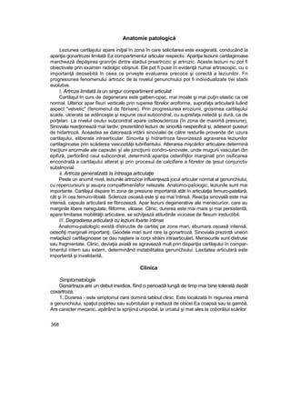 Anatomie patologică
Leziunea cartilajului apare iniţial în zona în care solicitarea este exagerată, conducând la
apariţia gonartrozei limitată Ea compartimentul articular respectiv. Apariţia leziunii cartilaginoase
marchează depăşirea granr{ei dintre stadiul preartrozic şi artrozic. Aceste leziuni nu pot fi
obiectivate prin examen radiolgic obişnuit. Ele pot fi puse în evidenţă numai artroscopic, cu o
importanţă deosebită în ceea ce priveşte evaluarea precoce şi corectă a leziunilor. Fn
progresiunea fenomenului artrozic de la nivelul genunchiului pot fi individualizate t/ei stadii
evolutive.
/. Artroza limitată la un singur compartiment articulat
Cartilajul In curs de degenerare este galben-opac, mai moale şi mai puţin elastic ca cel
normal. Ulterior apar fisuri verticale prin ruperea fibrelor arciforme, suprafaţa articulară luând
aspect "velvetic" (fenomenul de fibriiare). Prin progresiunea eroziunii, grosimea cartilajului
scade, ulcerata se adânceşte şi expune osul subcondral, cu suprafaţa netedă şi dură, ca de
porţelan. La nivelul osului subcondral apare osteoscleroza {în zona de maximă presiune),
Sinoviala reacţionează mai tardiv, prezentând leziuni de sinovttă nespecifică şi, adeseori puseuri
de hidartroză. Aceastea se datorează iritării sinovialei de către resturile provenite din uzura
cartilajului, eliberate inlraarticular. Sinovita şi hidrartroza favorizează agravarea leziunilor
cartilaginoase prin scăderea vascozităţii lubrifiantului. Alterarea mişcărilor articulare determină
tracţiuni anormale ale capsulei şî ale joncţiunii condro-sinoviale, unde mugurii vasculari din
epifizâ, perforând osul subcondral, determină apariţia osteofitjlor marginali prin osificarea
encondralâ a cartilajului alterat şi prin procesul de calcifiere a fibrelor de ţesut conjunctiv
subslnovial.
ii. Artroza generalizată la întreaga articulaţie
Peste un anumit nivel, leziunile artrozice influenţează jocul articular normal al genunchiului,
cu repercursiuni şi asupra compaftimenîefor nelezate. Anatomo-paîoiogic, leziunile sunt mai
importante. Cartilajul dispare In zona de presiune importantă atât în articulaţia femurc-patelară,
cât şi în cea femuro-tibială. Scleroza osoasă este şi ea mai întinsă. Reacţia sinovială este mai
intensă, capsula articulară se fibrozează. Apar leziuni degenerative ale meniscuriior, care au
marginile libere neregulate, filiforme, viloase. Clinic, durerea este mai rnare şi mai persistentă,
apare limitarea mobilităţii articulare, se schiţează atitudinile vicioase de flexum ireductibil.
///. Degradarea articulară cu leziuni foarte întinse
Anatomo-patologîc există dîstructie de cartilaj pe zone mari, ebumare osoasă intensă,
osteofiţi marginali importanţi. Geodele mari sunt rare Ia gonartroză. Sinoviala prezintă uneori
metaplazii cartilaginoase ce dau naştere ia corpi străini intraarticularL Meniscurile sunt distruse
sau fragmentate. Clinic, deviaţia axială se agravează mult prin dispariţia cartilajului în compar-
timentul intern sau extern, determinând instabilitatea genunchiului. Laxitatea articulară este
importantă şi invalidantă.
Clinica
Simptomatologie
Gonartraza are un debut insidios, fiind o perioadă lungă de timp mai bine tolerată decât
coxartroza.
1, Durerea - este simptomul care domină tabloul clinic. Este localizată în regiunea internă
a genunchiului, spaţiul poplrteu sau subrotulian şi iradiază de obicei Ea coapsă sau la gambă.
Are caracter mecanic, apărând la sprijinul unipodal, la urcatul şi mat ales la coborâtul scărilor
368
 