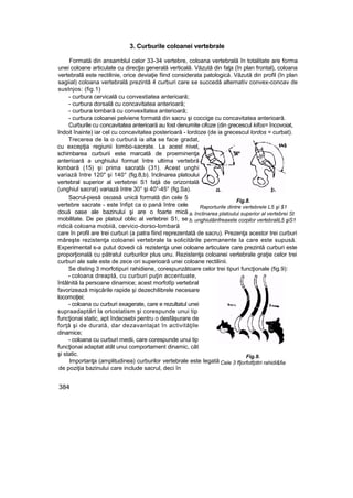 Elemente de ortopedie si traumatologie