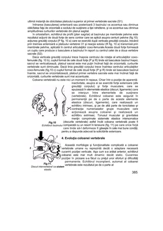 Elemente de ortopedie si traumatologie