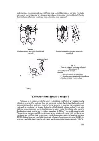 Elemente de ortopedie si traumatologie