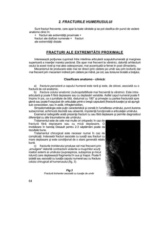 2. FRACTURILE HUMERUSULUI
Sunt fracturi frecvente, care apar la toate vârstele şi se pot clasifica din punct de vedere
anatomo clinic în:
+ fracturi ale extremităţii proximale +
fracturi ale diafizei numerale + fracturi
ale extremităţii distale
FRACTURI ALE EXTREMITĂŢII PROXIMALE
Interesează porţiunea cuprinsă între interlinia articulară scapulohumerală şl marginea
superioară a inserţiei marelui pectoral. Ele apar mai frecvent la vârstnici, datorită arhitecturii
osului la acest nivel şi mai ales osteoporozei, mai accentuată ia femei tn post clîmacteriu.
Mecanismul de producere este mai rar direct (prin cădere pe umăr sau prin lovitură) dar
mai frecvent prin mecanism indirect prin cădere pe mână, pe cot, sau torsiune brutală a braţului,
Clasificare anatomo - clinică:
a) fractura parcelară a capului humeral este rară şi este, de obicei, asociată cu o
fractură de col anatomic.
b) fractura colului anatomic (subcapitafăfesle mai frecventă la vârstnici. Este intra-
articulară şi poate fi fără depiasare sau cu deplasări variabile. Astfel capul numeral poate fi
împins în jos, ca o jumătate de bliă, răsturnat cu 180° şi priveşte cu partea fracturată spre
glenă sau poate fi expulzat din articulaţie printr-o breşă capsulară (fractură-luxaţie) şi să ajungă
sub coracoidian, sau în axilă, infraglenoidîan,
Simpatomatologia este puţin caracteristică şi constă In îumefierea umărului, punct dureros
subacromial, echimoză discretă sau absentă, impotenţă funcţională a articulaţiei umărului.
Examenul radiografie arată prezenţa fracturii cu sau fără deplasare şi permite diagnosticul
diferenţial cu alte traumatisme ale umărului.
Tratamentul este de cele mai multe ori ortopedic în caz de
fractură fără depiasare sau cu mică deplasare, O
imobilizare în bandaj Desault pentru 2-3 săptămâni poate da
rezultate bune.
Tratamentul chirurgical este necesar numai în caz de
complicaţii, îndeosebi fracturi asociate cu iuxaţîi sau fracturi cu
mare deplasare şi este condiţionat de o stare generală relativ
bună.
c) fracturile trohiterutui produse cel mai frecvent prin
„smulgere" datorită contractorii violente a muşchilor scurţi
roiatori externi ai umărului (supraspinos, subspinos şi micul
rotund) care deplasează fragmentul în sus şi înapoi. Poate fi
izolată sau asociată cu luxaţîa capului numeral sau cu fractura
colului chirugical al humerusului.(fig, 3)
Ftg.3
Fractură trohanter asociată cu tuxaţie de umăr
64
 