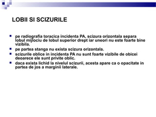 LOBII SI SCIZURILE
 pe radiografia toracica incidenta PA, scizura orizontala separa
lobul mijlociu de lobul superior drept iar uneori nu este foarte bine
vizibila.
 pe partea stanga nu exista scizura orizontala.
 scizurile oblice in incidenta PA nu sunt foarte vizibile de obicei
deoarece ele sunt privite oblic.
 daca exista lichid la nivelul scizurii, acesta apare ca o opacitate in
partea de jos a marginii laterale.
 