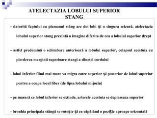 ATELECTAZIA LOBULUI SUPERIOR
STANG
- datorită faptului ca plamanul stâng are doi lobi i o singura scizură, atelectaziaș
lobului superior stang prezintă o imagine diferita de cea a lobului superior drept
- astfel predomină o schimbare anterioară a lobului superior, colapsul acestuia cu
pierderea marginii superioare stangi a siluetei cordului
- lobul inferior fiind mai mare va migra catre superior i posterior de lobul superiorș
pentru a ocupa locul liber (de lipsa lobului mijociu)
- pe masură ce lobul inferior se extinde, arterele acestuia se deplaseaza superior
- bronhia principala stângă se rote te i ea căpătând o pozi ie aproape orizontalăș ș ț
 