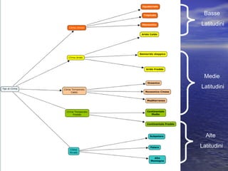 Basse
Latitudini
Medie
Latitudini
Alte
Latitudini
 
