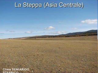 La Steppa (Asia Centrale)La Steppa (Asia Centrale)
Clima SEMIARIDO
 