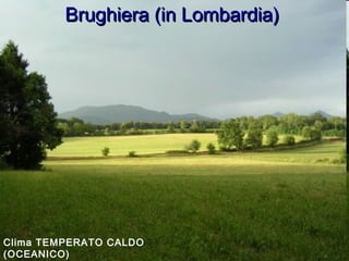Brughiera (in Lombardia)Brughiera (in Lombardia)
Clima TEMPERATO CALDO
(OCEANICO)
 