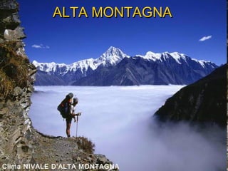 ALTA MONTAGNAALTA MONTAGNA
Clima NIVALE D’ALTA MONTAGNA
 