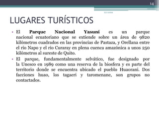 LUGARES TURÍSTICOS
• El Parque Nacional Yasuní es un parque
nacional ecuatoriano que se extiende sobre un área de 9820
kilómetros cuadrados en las provincias de Pastaza, y Orellana entre
el río Napo y el río Curaray en plena cuenca amazónica a unos 250
kilómetros al sureste de Quito.
• El parque, fundamentalmente selvático, fue designado por
la Unesco en 1989 como una reserva de la biosfera y es parte del
territorio donde se encuentra ubicado el pueblo Huaorani. Dos
facciones huao, los tagaeri y taromenane, son grupos no
contactados.
ECUADOR
14
 