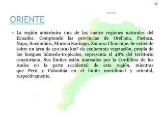 ORIENTE
• La región amazónica una de las cuatro regiones naturales del
Ecuador. Comprende las provincias de Orellana, Pastaza,
Napo, Sucumbíos, Morona Santiago, Zamora Chinchipe. Se extiende
sobre un área de 120.000 km² de exuberante vegetación, propia de
los bosques húmedo-tropicales, representa el 48% del territorio
ecuatoriano. Sus límites están marcados por la Cordillera de los
Andes en la parte occidental de esta región, mientras
que Perú y Colombia en el límite meridional y oriental,
respectivamente.
ECUADOR
11
 