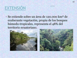 EXTENSIÓN
• Se extiende sobre un área de 120.000 km² de
exuberante vegetación, propia de los bosques
húmedo-tropicales, representa el 48% del
territorio ecuatoriano.
ECUADOR
12
 