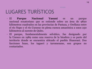 LUGARES TURÍSTICOS
• El Parque Nacional Yasuní es un parque
nacional ecuatoriano que se extiende sobre un área de 9820
kilómetros cuadrados en las provincias de Pastaza, y Orellana entre
el río Napo y el río Curaray en plena cuenca amazónica a unos 250
kilómetros al sureste de Quito.
• El parque, fundamentalmente selvático, fue designado por
la Unesco en 1989 como una reserva de la biosfera y es parte del
territorio donde se encuentra ubicado el pueblo Huaorani. Dos
facciones huao, los tagaeri y taromenane, son grupos no
contactados.
ECUADOR
14
 