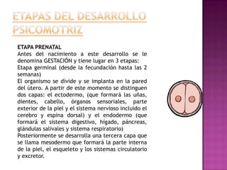 3.1. Desarrollo de las actividades práxicas y gnósticas en el párvuloNo basta la sola existencia de la actividad refleja, si no existe además, la natural contribución de la actividad espontánea del niño, en especial la actividad exploratoria y el juego activo, que dan lugar a la organización de las práxias y gnosias.3.1.1. Las PráxiasMovimientos organizados, producto de procesos de aprendizaje previos que tienden a un objetivo determinado:Movimientos efectuados con los labios para mostrar los dientesSacar la lenguaCerrar los ojosPatear una pelotaHacer nudosTrenzarEl logro de las práxias incluye la automatización de éstas, puesto que ya son producto del aprendizaje.En algunos casos las práxias se identifican como hábitos motores, como es el caso de “empuñar la cuchara o el tenedor”Las práxias manuales comienzan a partir de la prensión refleja, que se va adecuando y llegándose a regularse gradualmente, de este modo el niñ@ llega a conformar múltiples estereotipos manuales que van incorporando más práxias y nuevas destrezas motoras. 