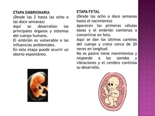 3.1.2. Las GnosiasSon resultado de procesos de aprendizaje en los que intervienen diferentes analizadores perceptivos de la información aferente.Existen simples y complejas. Entre las simples se consideran gnosias táctiles, como la diferenciación entre lo duro y lo blando o gnosias auditivas, como la diferenciación y reconocimiento de ruidos. Entre las complejas citaremos las visomotoras, espaciales y visomotoras – auditivas. Es probable que una de las más complejas sea el esquema corporal. Es importante reforzar las gnosiasvisoespaciales, ya que ayudan al aprendizaje de la lectoescritura. De todo lo anterior se desprende la importancia del juego que junto con las diversas actividades que realizamos en el jardín de infantes desempeñan una importante función en el reforzamiento y consolidación de las gnosias. 