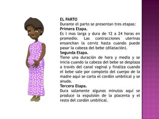 ETAPAS DEL DESARROLLO PSICOMOTRIZETAPA PRENATALAntes del nacimiento a este desarrollo se le denomina GESTACIÓN y tiene lugar en 3 etapas:Etapa germinal (desde la fecundación hasta las 2 semanas)El organismo se divide y se implanta en la pared del útero. A partir de este momento se distinguen dos capas: el ectodermo, (que formará las uñas, dientes, cabello, órganos sensoriales, parte exterior de la piel y el sistema nervioso incluido el cerebro y espina dorsal) y el endodermo (que formará el sistema digestivo, hígado, páncreas, glándulas salivales y sistema respiratorio)Posteriormente se desarrolla una tercera capa que se llama mesodermo que formará la parte interna de la piel, el esqueleto y los sistemas circulatorio y excretor.