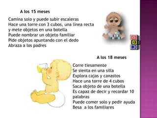 A las 16 semanasPuede elevar la cabeza y el tóraxPredomina la postura simétricaToma objetos y los lleva a la bocaSi se lo para se empuja con los piesRíe a carcajadasMuestra desagrado si los padres se alejanA las 28 semanasSe da vueltas y avanza empujándose con los piesPuede sentarse brevemente con apoyoPuede parase con apoyo y esbozar brincosTransfiere objetos de una mano a otraPuede emitir sonidos de más de una sílabaPrefiere a los conocidos y muestra desagrado a los desconocidos