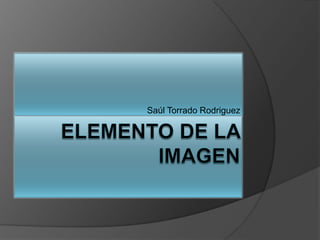 Elemento de la Imagen Saúl Torrado Rodriguez 