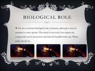 BIOLOGICAL ROLE
 Tin has no known biological role in humans, although it may be
essential to some species. The metal is non-toxic, but organo-tin
compounds can be poisonous and must be handled with care. Plants
easily absorb tin.
 