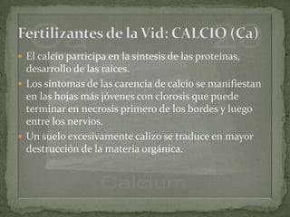  El calcio participa en la síntesis de las proteínas,
  desarrollo de las raíces.
 Los síntomas de las carencia de calcio se manifiestan
  en las hojas más jóvenes con clorosis que puede
  terminar en necrosis primero de los bordes y luego
  entre los nervios.
 Un suelo excesivamente calizo se traduce en mayor
  destrucción de la materia orgánica.
 