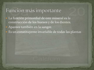  La función primordial de este mineral es la
  construcción de los huesos y de los dientes.
 Aparece también en la sangre.
 Es un constituyente invariable de todas las plantas
 