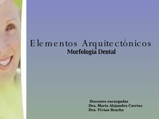 Elementos Arquitectónicos Morfología Dental Docentes encargadas  Dra. Maria Alejandra Carrizo Dra. Vivian Bracho 