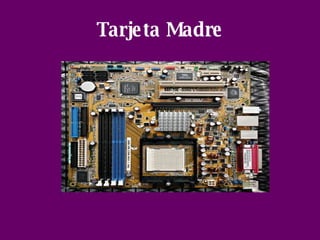 Tarjeta Madre 