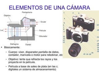 ELEMENTOS DE UNA CÁMARA Básicamente: Cuerpo: visor, disparador,pantalla de datos, contador, manivela o motor para rebobinar, etc. Objetivo: lente que refracta los rayos y los proyecta en la película. Película a base de sales de plata (en las c. digitales un sistema de almacenamiento) 