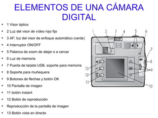 ELEMENTOS DE UNA CÁMARA DIGITAL 1 Visor óptico 2 Luz del visor de vídeo rojo fijo 3 AF: luz del visor de enfoque automático (verde) 4 Interruptor ON/OFF 5 Palanca de zoom de alejar o a cercar 6 Luz de memoria 7 Puerta de tarjeta USB, soporte para memoria 8 Soporte para muñequera 9 Botones de flechas y botón OK 10 Pantalla de imagen 11 botón instant 12 Botón de reproducción Reproducción de la pantalla de imagen 13 Botón vista en directo 