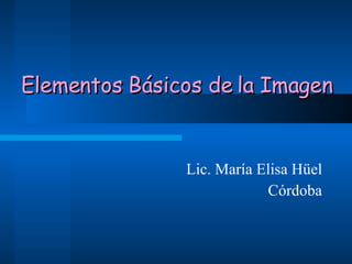 Lic. María Elisa Hüel Córdoba Elementos Básicos de la Imagen 