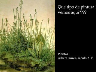 Que tipo de pintura vemos aqui???? Plantas Albert Durer, século XIV 