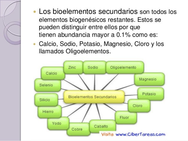 Elementos (6)