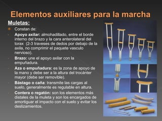 Muletas: Constan de:  Apoyo axilar:  almohadillado, entre el borde interno del brazo y la cara anterolateral del torax  (2-3 traveses de dedos por debajo de la axila, no comprimir el paquete vasculo nervioso). Brazo:  une el apoyo axilar con la empuñadura. Aza o empuñadura:  es la zona de apoyo de la mano y debe ser a la altura del trocánter mayor (debe ser removible). Bástago o caña : transmite las cargas al suelo, generalmente es regulable en altura.  Contera o regatón:  son los elementos más distales de la muleta y son los encargados de amortiguar el impacto con el suelo y evitar los deslizamientos. 