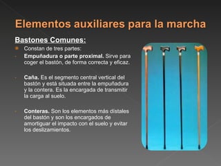 Bastones Comunes: Constan de tres partes: Empuñadura o parte proximal.  Sirve para coger el bastón, de forma correcta y eficaz.  Caña.  Es el segmento central vertical del bastón y está situada entre la empuñadura y la contera. Es la encargada de transmitir la carga al suelo. Conteras.  Son los elementos más dístales del bastón y son los encargados de amortiguar el impacto con el suelo y evitar los deslizamientos. 