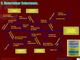 BGC
gestion.deprocesos.net TECNOCAMP.CHILE 28
5. Determinar Soluciones.
ATRASO EN LA
ENTREGA DE
CARNES ROJAS
Programación
del envío Transporte
Compra Stock
Fallas de
camiones
Falta de
planificación
Mala
programación
de carga
Inversión alta
Demoran decisión
de compras
Espera para
llenar camiones
Incapacidad
técnica
Falta
capacitación
Proveedores no
cumplen
No mantienen
Stock adecuado
No les importa
cumplir
Falta
capacitación
Pagan mal
Instalación
de frío mala
Sistemas
malos
 