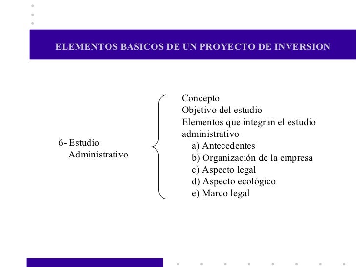 Elementos basicos de un proyecto de inversion