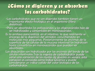   ¿Cómo se digieren y se absorben los carbohidratos? -Los carbohidratos que no son digeridos también tienen un importante efecto fisiológico en el organismo (fibra dietética). -Para ser absorbidos los polisacáridos y los oligosacáridos  han de ser hidrolizados y convertidos en monosacáridos. Es la amilasa pancreática, en el intestino, la que realmente se encarga de la digestión del almidón, convirtiéndolo en moléculas más pequeñas. Posteriormente las enzimas de la superficie de las células de la mucosa intestinal los hidrolizan hasta convertirlos en monosacáridos que puedan ser absorbidos. Los disacáridos son hidrolizados por las enzimas del borde de las células intestinales. Tras la ingesta de carbohidratos puede verse una variación de los niveles de glucosa en sangre, esta variación es conocida como Índice Glicérico  y puede considerarse un índice valido del valor biológico de los carbohidratos. 