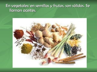 En vegetales: en semillas y frutos, son sólidos. Se llaman aceites. 