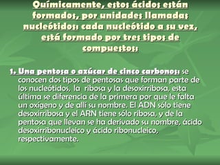 Químicamente, estos ácidos están formados, por unidades llamadas nucleótidos:  cada  nucleótido a su vez, está formado por tres tipos de compuestos: 1. Una pentosa o azúcar de cinco carbonos:  se conocen dos tipos de pentosas que forman parte de los nucleótidos,  la  ribosa y la desoxirribosa, esta última se diferencia de la primera por que le falta un oxígeno y de allí su nombre. El ADN sólo tiene desoxirribosa y el ARN tiene sólo ribosa, y de la pentosa que llevan se ha derivado su nombre, ácido desoxirribonucleico y ácido ribonucleico, respectivamente. 