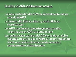El ADN y el ARN se diferencian porque: - el peso molecular del ADN es generalmente mayor que el del ARN - el azúcar del ARN es ribosa, y el del ADN es desoxirribosa - el ARN contiene la base nitrogenada uracilo, mientras que el ADN presenta timina La configuración espacial del ADN es la de un doble helicoide, mientras que el ARN es un poli nucleótido lineal, que ocasionalmente puede presentar apareamientos intracatenarios 
