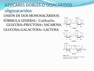 AZÚCARES DOBLES O DISACÁRIDOS
oligosacaridos
UNIÓN DE DOS MONOSACÁRIDOS.
FÓRMULA GENERAL: C12H22O11.
 GLUCOSA+FRUCTOSA= SACAROSA.
GLUCOSA+GALACTOSA= LACTOSA.
 