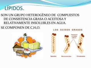 LÍPIDOS.
SON UN GRUPO HETEROGÉNEO DE COMPUESTOS
  DE CONSISTENCIA GRASA O ACEITOSA Y
  RELATIVAMENTE INSOLUBLES EN AGUA.
SE COMPONEN DE C,H,O.
 