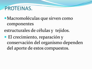 PROTEINAS.
 Macromoléculas que sirven como
 componentes
estructurales de células y tejidos.
 El crecimiento, reparación y
 conservación del organismo dependen
 del aporte de estos compuestos.
 