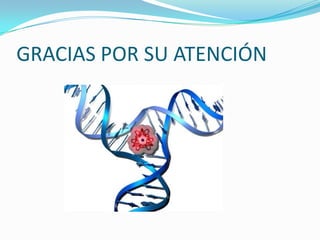 GRACIAS POR SU ATENCIÓN
 