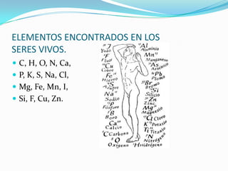 ELEMENTOS ENCONTRADOS EN LOS
SERES VIVOS.
 C, H, O, N, Ca,
 P, K, S, Na, Cl,
 Mg, Fe, Mn, I,
 Si, F, Cu, Zn.
 