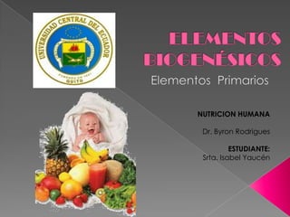 ELEMENTOS BIOGENÉSICOS  Elementos  Primarios  NUTRICION HUMANA Dr. Byron Rodrigues ESTUDIANTE: Srta. Isabel Yaucén 