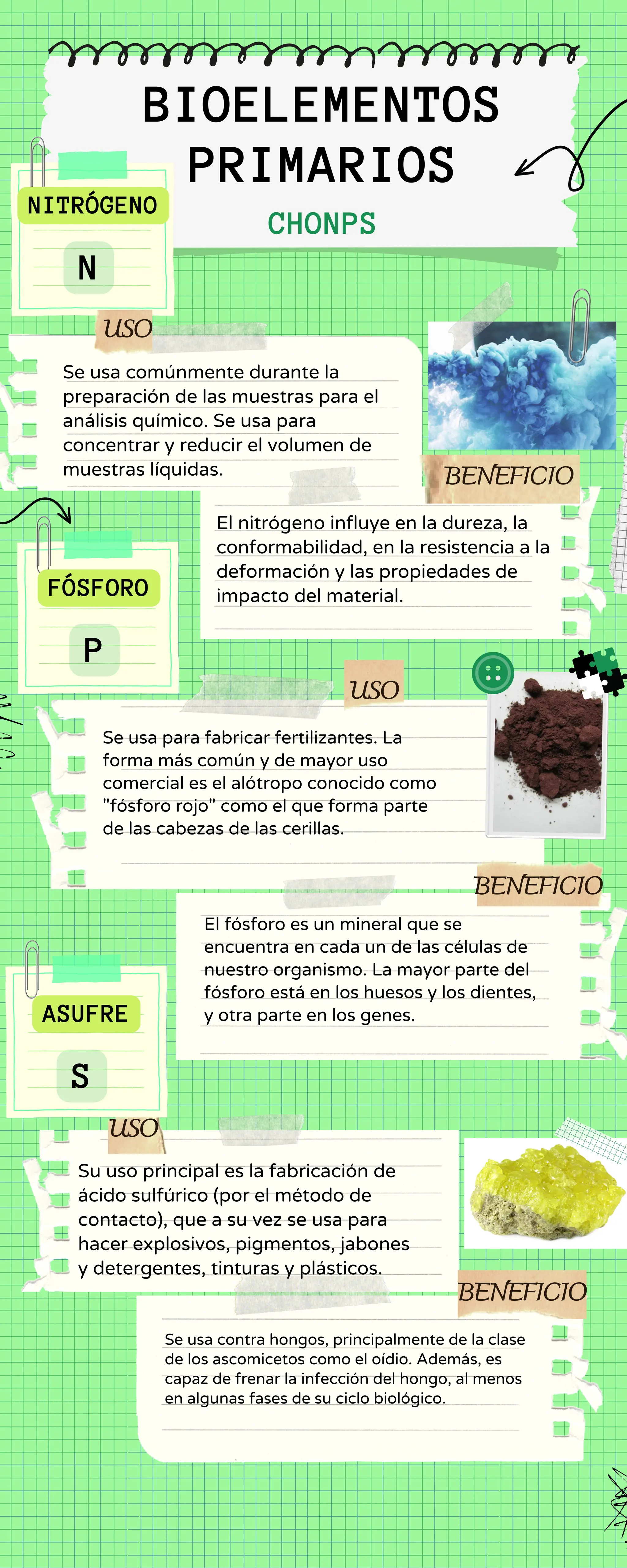 Elementos Bioquímicos primarios y secundarios.pdf