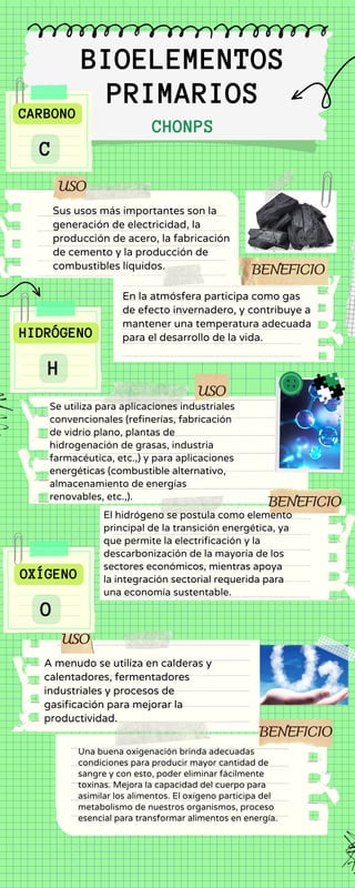 Chonps Bioelementos Elementos Bioquímicos primarios y secundarios.pdf