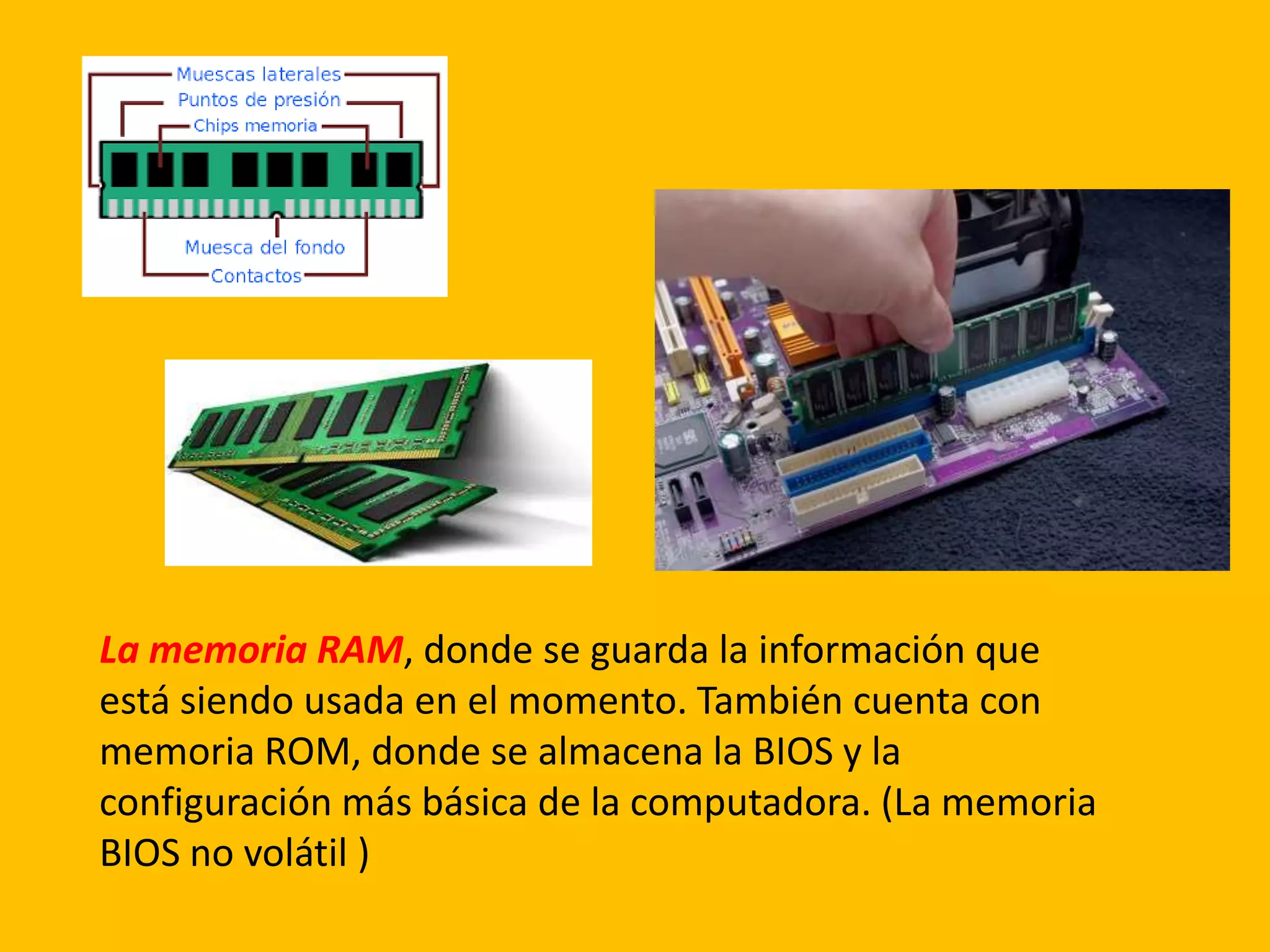 Memoria:
La memoria RAM, donde se guarda la información que
está siendo usada en el momento. También cuenta con
memoria ROM, donde se almacena la BIOS y la
configuración más básica de la computadora. (La memoria
BIOS no volátil )
 