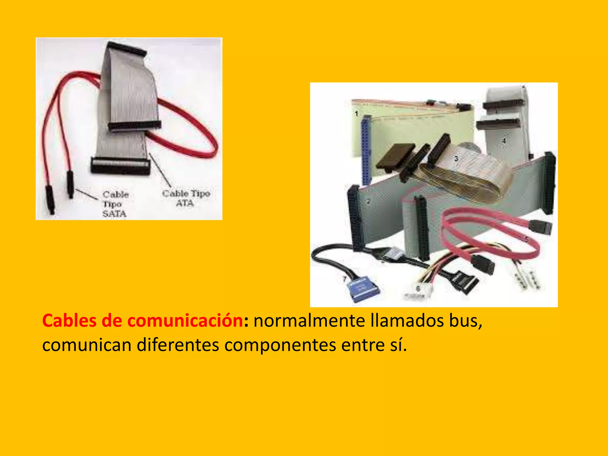 Cables de comunicación: normalmente llamados bus,
comunican diferentes componentes entre sí.
 