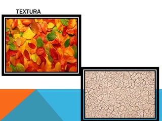TEXTURA
 